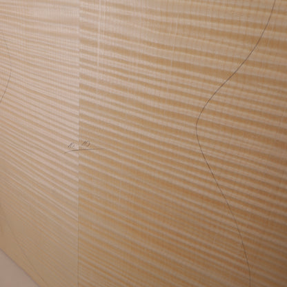 Ahorn Set (Boden/Zargen) für Archtop Gitarre MA (Nr. 1701)