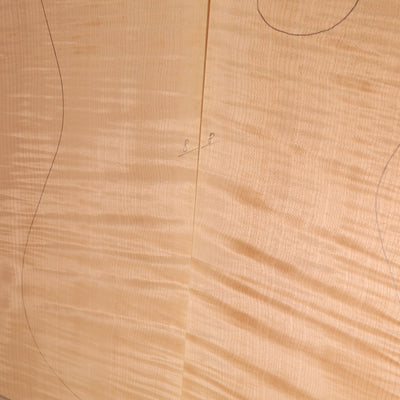 Maple Carved Top 2-piece for Electric Guitar AAA (no. 2188)