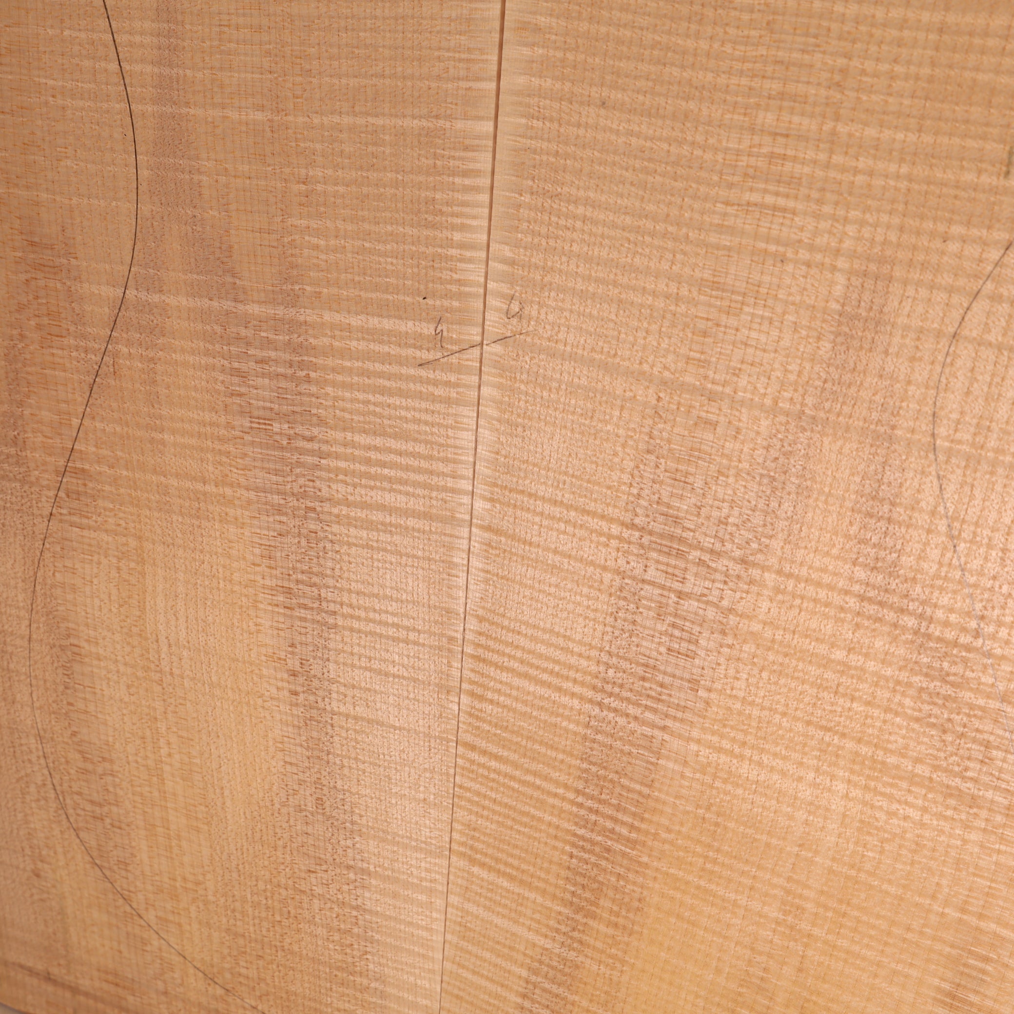 Maple Carved Top 2-piece for Electric Guitar AA (no. 2189)