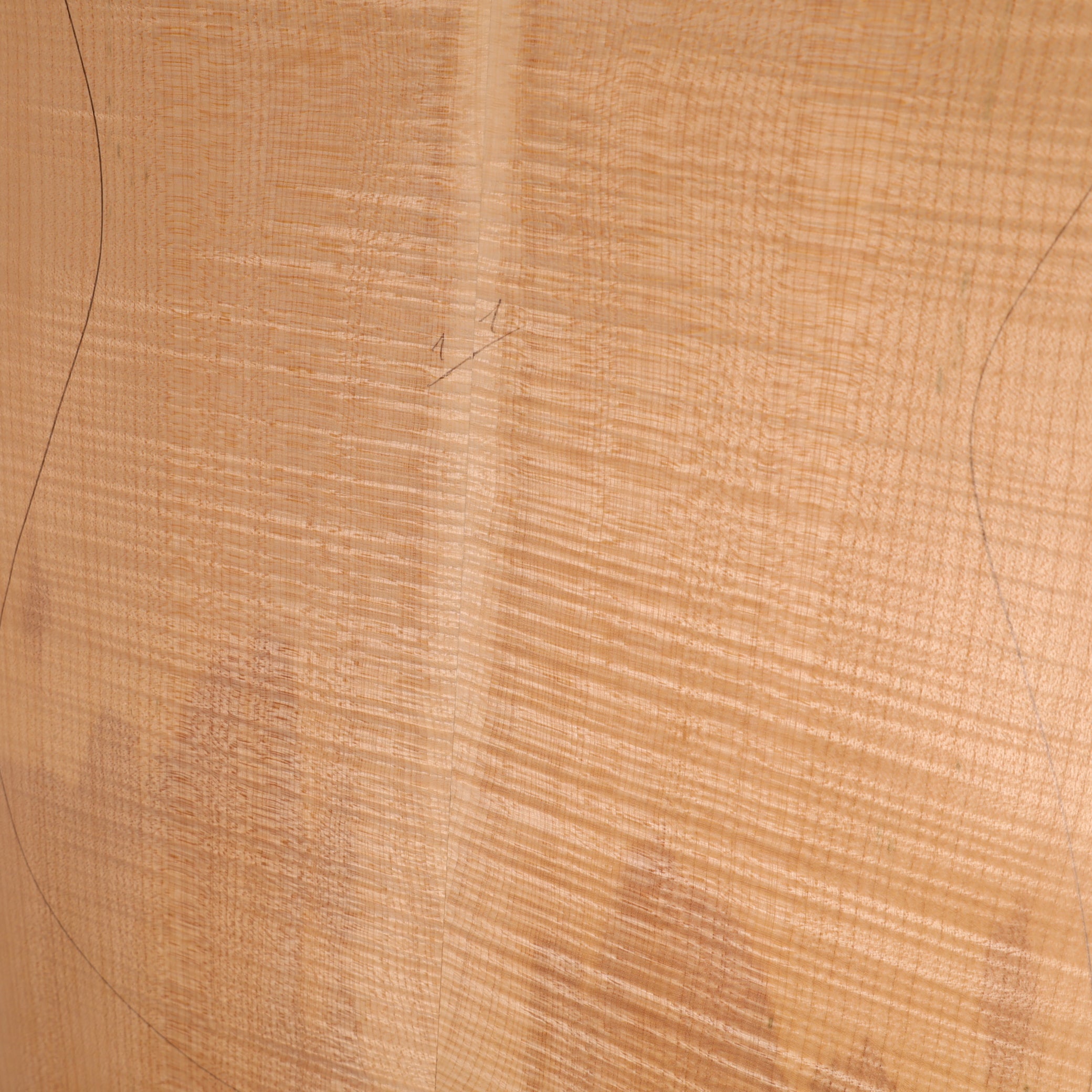 Maple Carved Top 2-piece for Electric Guitar AA (no. 2191)