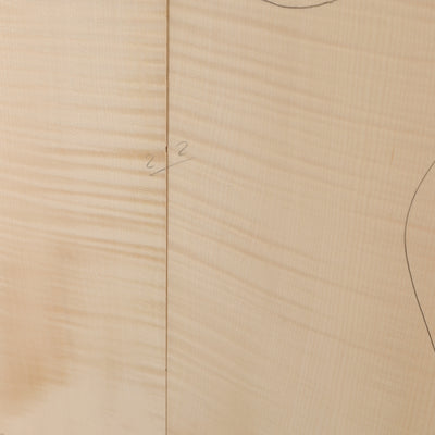 Maple Carved Top 2-piece for Electric Guitar A (no. 3007)