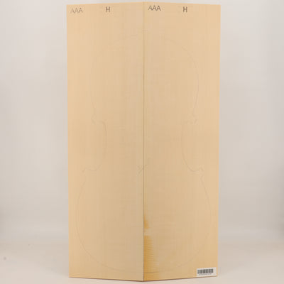 Fichtendecke für Cello AAA (Nr. 3354)