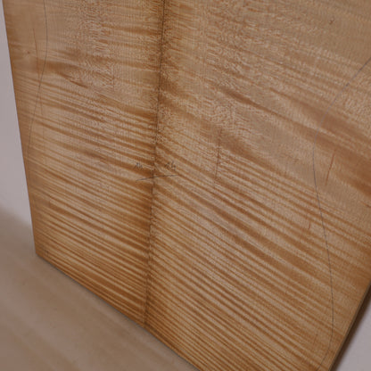 Thermo Maple Carved Top 2-piece for Electric Guitar II (no. 894)