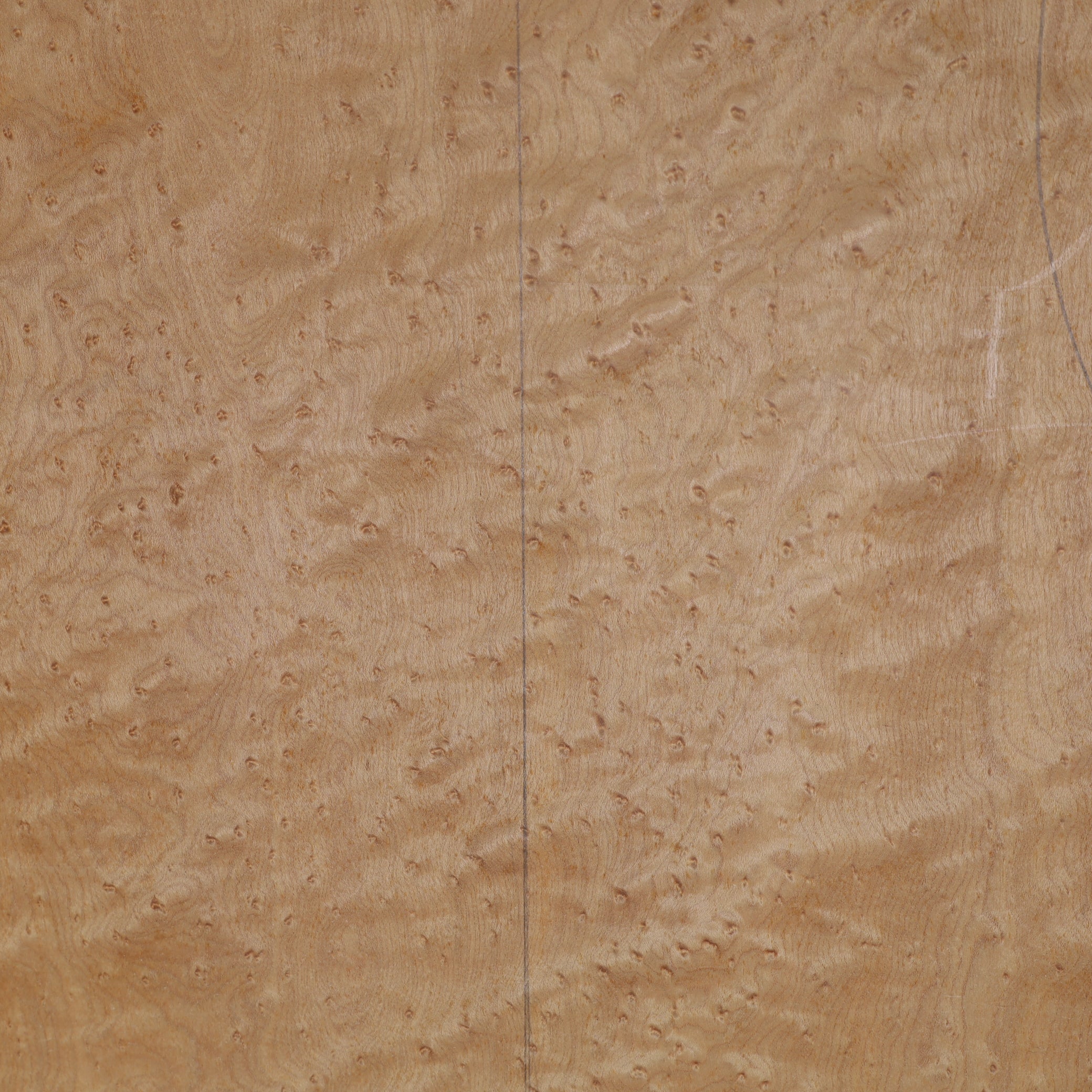 Bird's Eye Maple Back for Cello or Viola da Gamba old (no. A001)