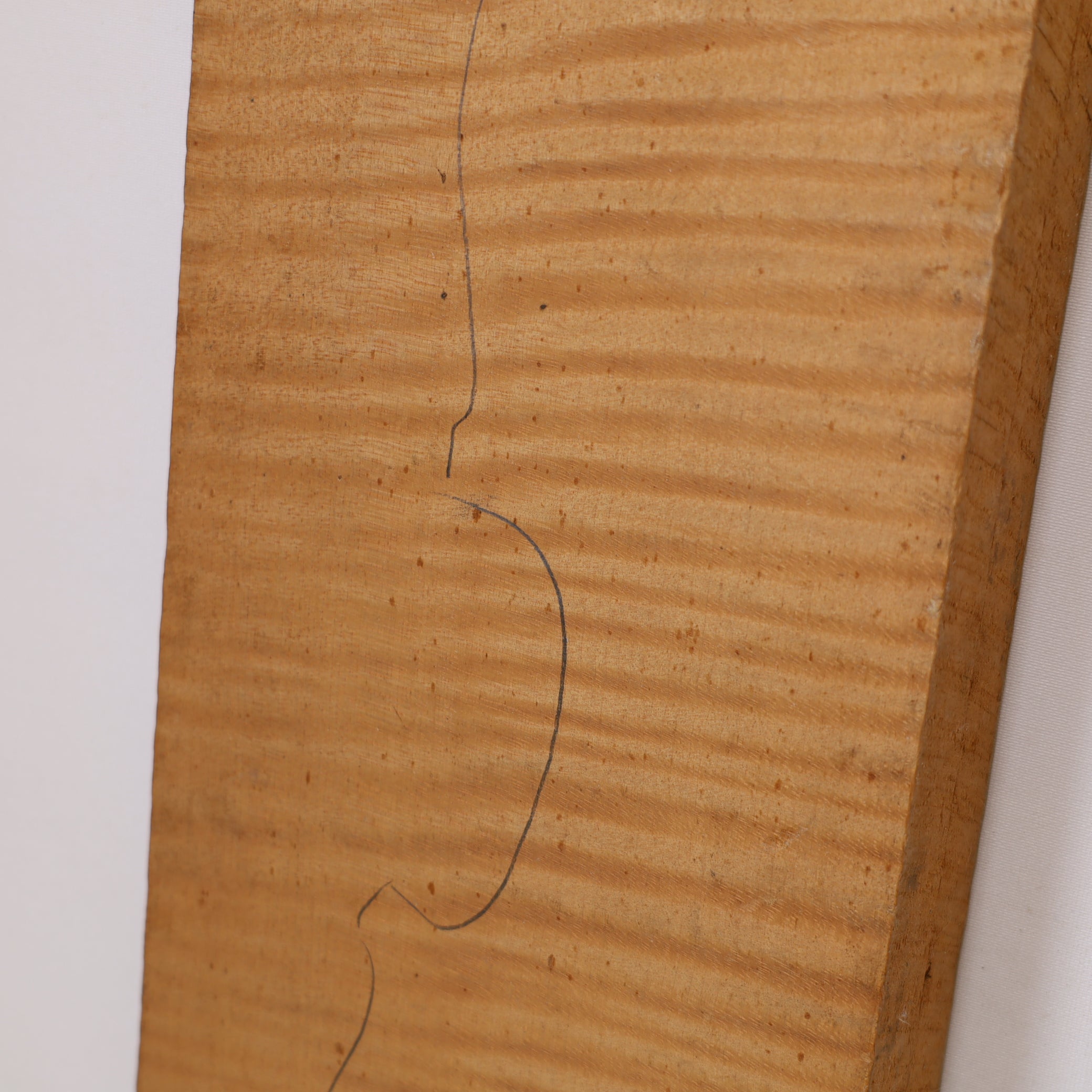 Maple Back for Violin old (no. A009)