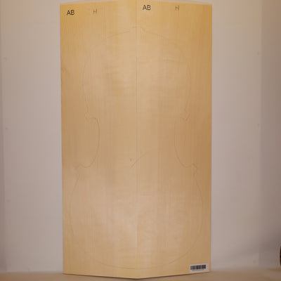 Fichtendecke für Cello AB (Nr. 1351)