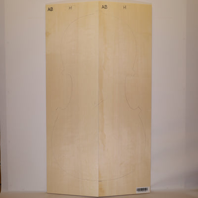 Fichtendecke für Cello AB (Nr. 1352)