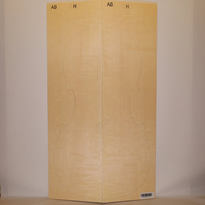 Fichtendecke für Cello AB (Nr. 1354)