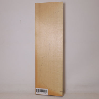Spruce Top for Violin MA (no. 1042)